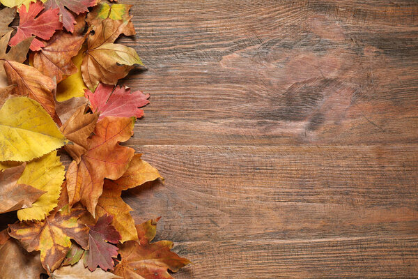 Flat lay composition with autumn leaves on wooden background. Space for text