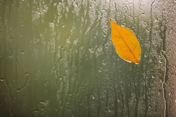 Foglia d'autunno su vetro, spazio per il testo. Tempo piovoso — Foto Stock