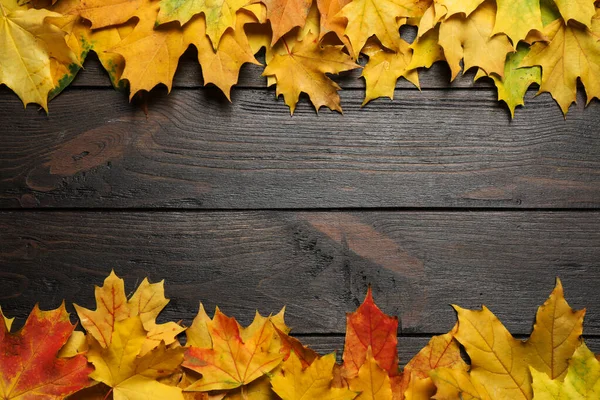 Frame made of autumn leaves on dark wooden table, flat lay. Space for text