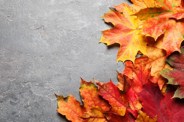 Flat lay composition with autumn leaves on grey stone background. Space for text — Stockfoto