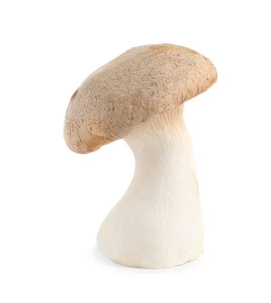 Свежий дикий гриб на белом фоне. Съедобные грибы — стоковое фото