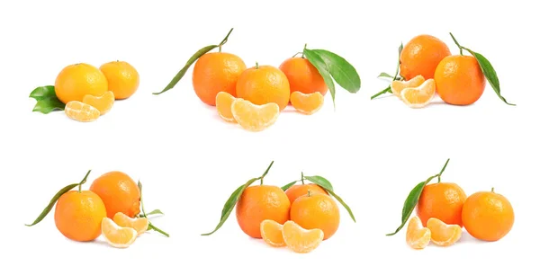 Conjunto de tangerinas maduras frescas sobre fundo branco — Fotografia de Stock