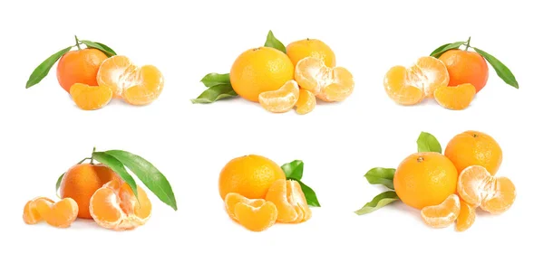 Conjunto de tangerinas maduras frescas sobre fundo branco — Fotografia de Stock