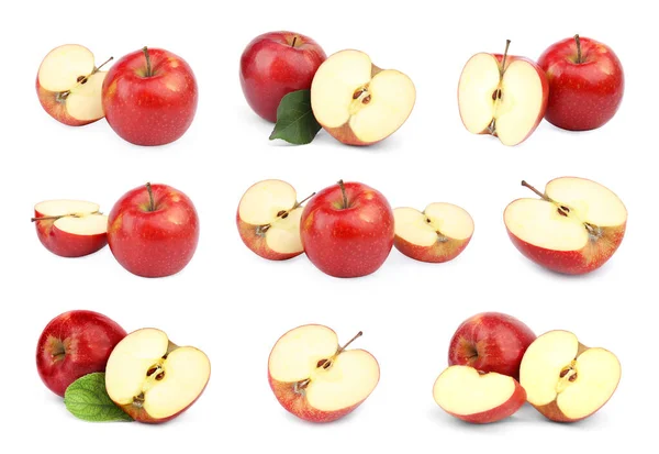 Zestaw świeżych dojrzałych czerwonych jabłek na białym tle — Zdjęcie stockowe