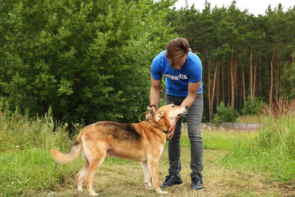 Masculino voluntário com cão sem-teto no abrigo animal ao ar livre — Fotografia de Stock