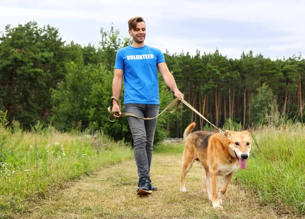 Masculino voluntário com cão sem-teto no abrigo animal ao ar livre — Fotografia de Stock