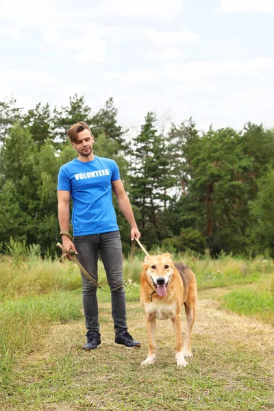 Masculino voluntário com cão sem-teto no abrigo animal ao ar livre — Fotografia de Stock