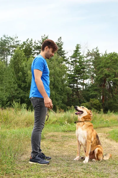 Masculino voluntário com cão sem-teto no abrigo animal ao ar livre — Fotografia de Stock