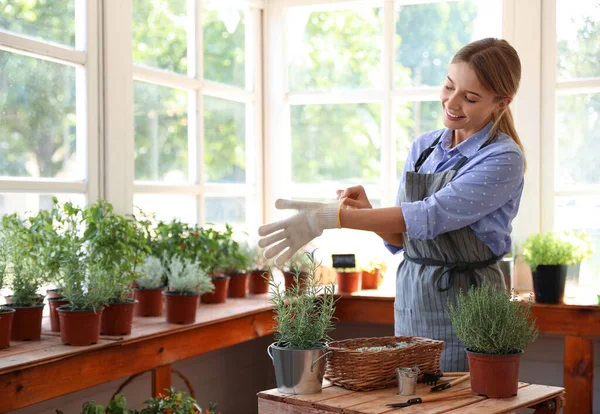 Young woman taking care of home plants at wooden table in shop — Stock Photo, Image