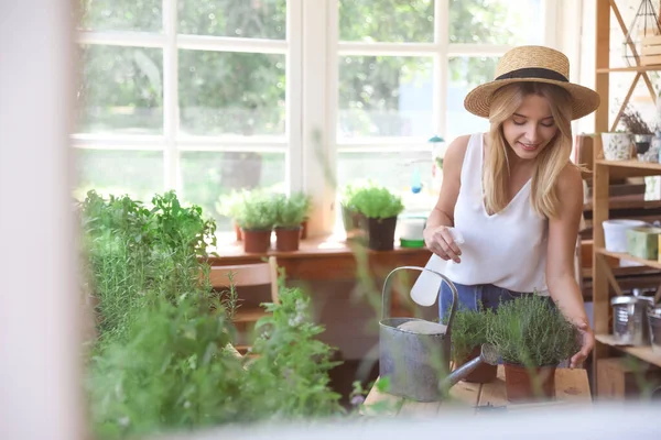 Young woman sprinkling home plants at wooden table indoors, view through window — Stock Photo, Image