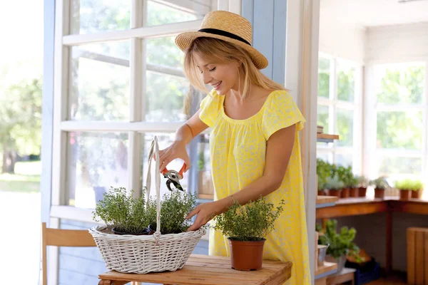 Jonge vrouw snoeien huis planten aan houten tafel buiten — Stockfoto