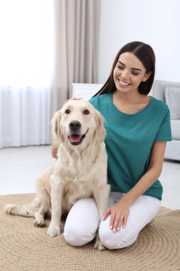 Genç kadın ve onun Golden Retriever köpeği oturma odasında