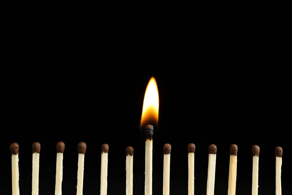Burning Match Unlit Ones Black Background Closeup — Stock Photo, Image