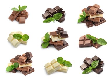 Beyaz arka planda naneli farklı çikolata türleri ile set