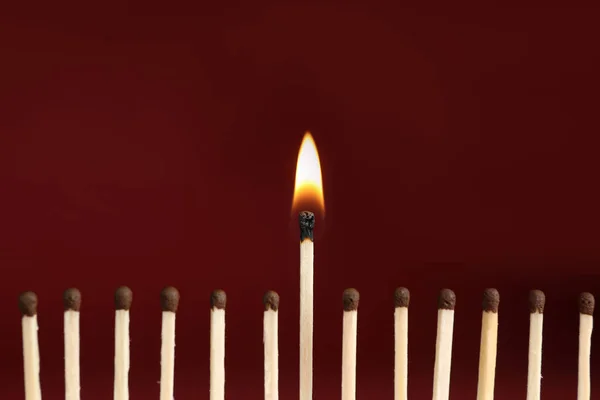 Burning Match Unlit Ones Red Background Closeup — Stock Photo, Image