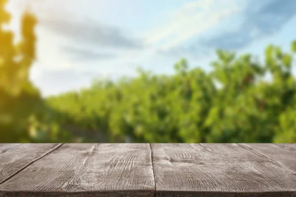 Empty wooden surface and blurred view of vineyard rows with fresh grapes. Space for text