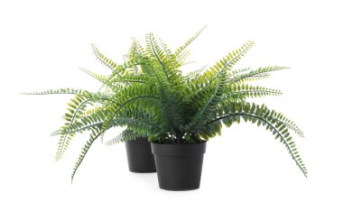 Beyaz tencerelerde izole edilmiş güzel yapay bitkiler.