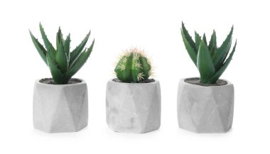 Beyaz tencerelerde izole edilmiş güzel yapay bitkiler.