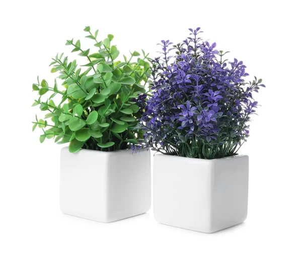 Hermosas Plantas Artificiales Macetas Aisladas Blanco — Foto de Stock