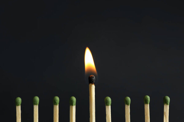 Burning match among unlit ones on dark background, closeup