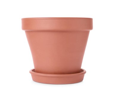 Süslü terracotta saksısı ve beyaz tenceresi.