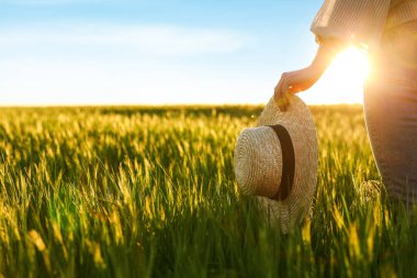 Güneşli bir günde, tarlada olgunlaşmamış çivili bir kadın, yakın plan.