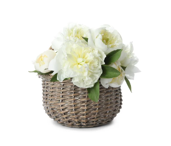 Bouquet Belle Peonie Cesto Vimini Isolato Bianco — Foto Stock