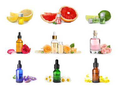 Set with bottles of different essential oils, fresh citruses and flowers on white background clipart