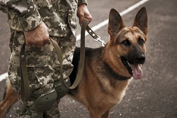 Mann Militäruniform Mit Schäferhund Freien Nahaufnahme — Stockfoto