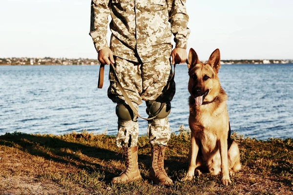 Hombre Uniforme Militar Con Perro Pastor Alemán Aire Libre Primer — Foto de Stock