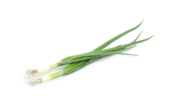 Świeże Zielone Cebule Wiosenne Izolowane Białym — Zdjęcie stockowe