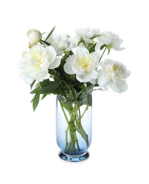 Belle Peonie Fiorite Vaso Isolato Bianco — Foto Stock