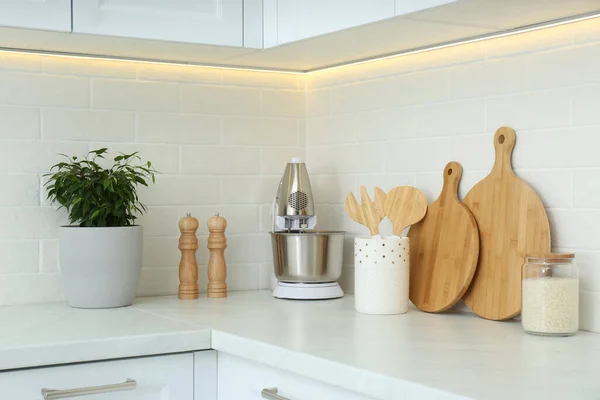 Different kitchen items and houseplant on countertop indoors