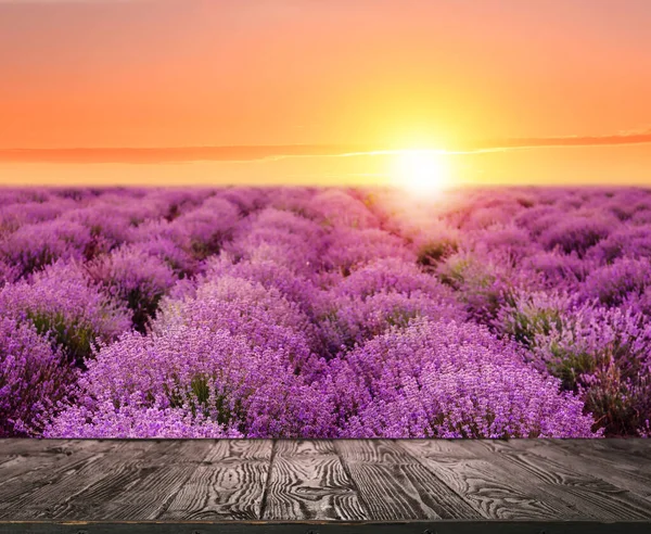 Lege Houten Ondergrond Prachtig Bloeiend Lavendelveld Zomerdag Bij Zonsondergang — Stockfoto