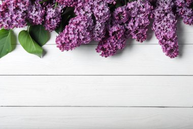 Beyaz ahşap arka planda güzel çiçek açan leylak dallar, düz bir zemin. Metin için boşluk