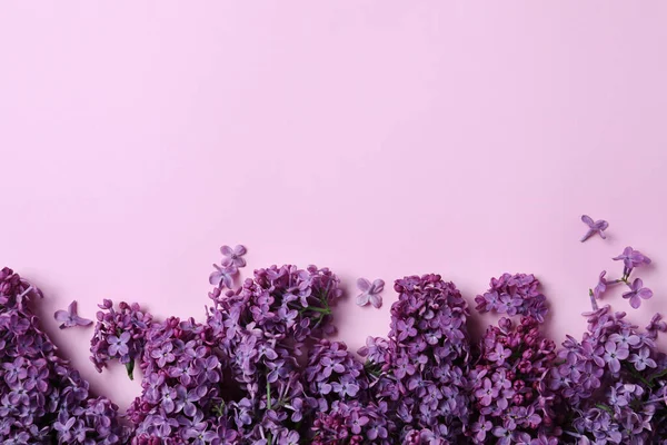 Schöne Fliederblüte Auf Rosa Hintergrund Flache Lage Raum Für Text — Stockfoto