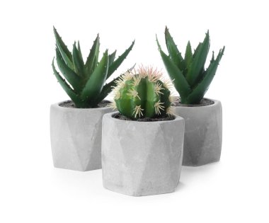 Beyaz tencerelerde izole edilmiş güzel yapay bitkiler.