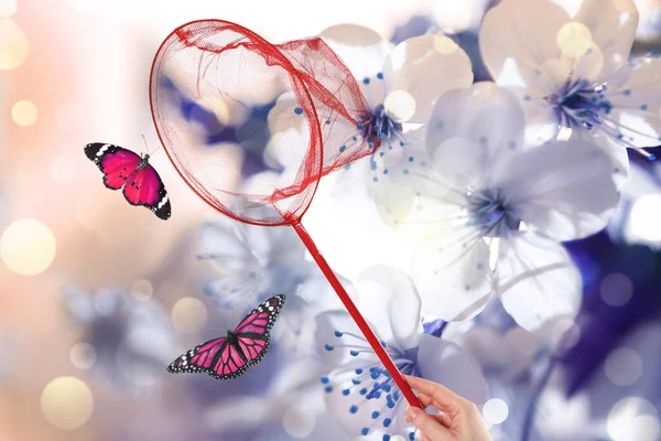 Femme Attrapant Des Papillons Avec Filet Contre Les Fleurs Fleurs — Photo