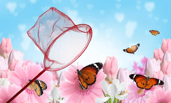 Filet Lumineux Papillons Monarques Fragiles Dans Jardin Fleuri — Photo