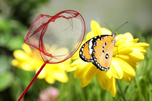 Filet Lumineux Belle Dame Peinte Papillon Dans Jardin Fleurs — Photo