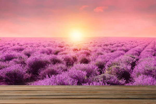 Lege Houten Ondergrond Prachtig Bloeiend Lavendelveld Zomerdag Bij Zonsondergang — Stockfoto