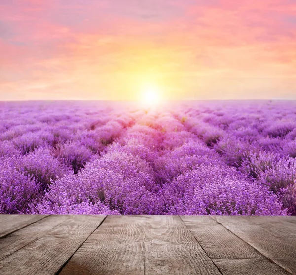 Lege Houten Ondergrond Prachtig Bloeiend Lavendelveld Zomerdag Bij Zonsondergang — Stockfoto