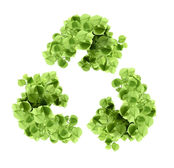 Recycling Symbol Made Leaves White Background — Stock Photo, Image