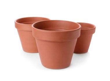 Beyaz tencerelerde izole edilmiş şık terracotta saksıları.