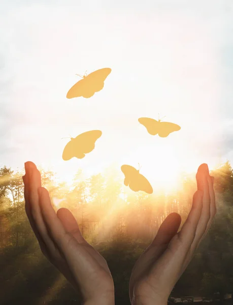 Woman releasing butterflies in forest on sunny day, closeup. Freedom concept