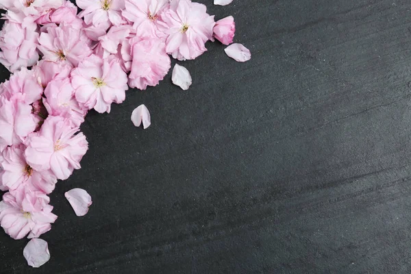 Prachtige Sakura Bloesem Leisteen Achtergrond Ruimte Voor Tekst Japanse Kers — Stockfoto