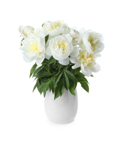 Vackra Blommande Pioner Vas Isolerad Vit — Stockfoto
