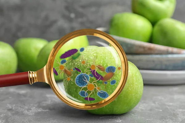 Magnifying glass and illustration of microbes on apple. Food poisoning concept