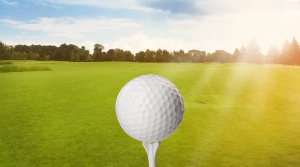 Bola Golfe Com Parque Dia Ensolarado — Fotografia de Stock