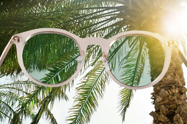 Palmy Svěžím Zeleným Listím Slunečného Dne Pohled Přes Sluneční Brýle — Stock fotografie